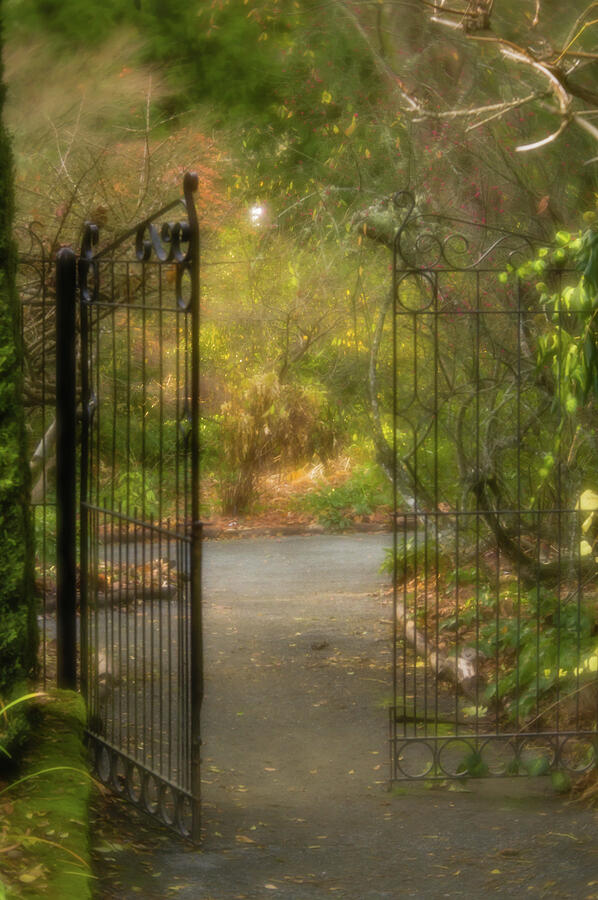 Garden Gate Photograph by Marilyn Wilson