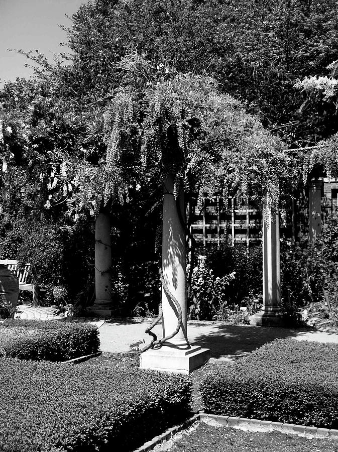 Garden Photograph by H S Reynolds