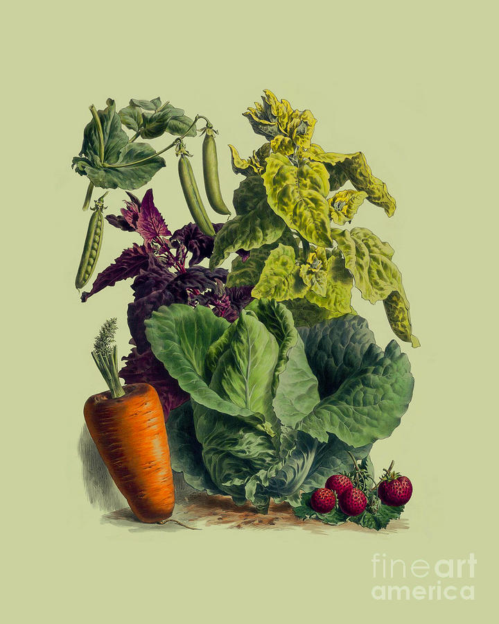 Vegetable Digital Art - Garden Harvest by Madame Memento