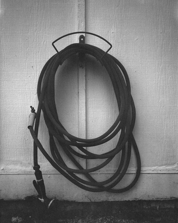 Garden hose Photograph by Rudy Umans