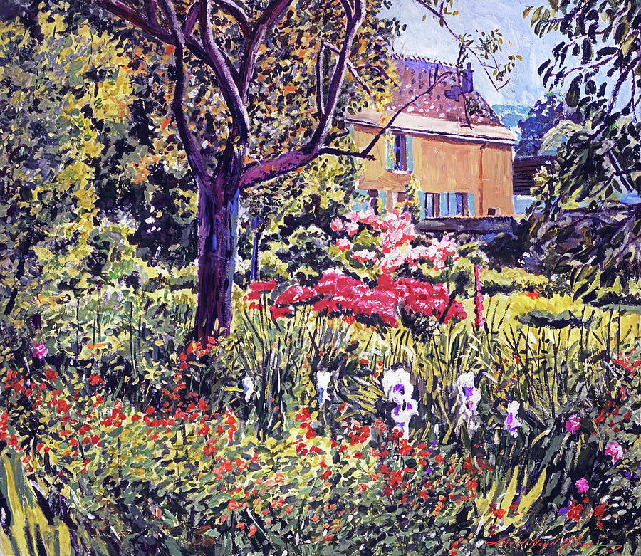  Garden In Provence Painting by David Lloyd Glover