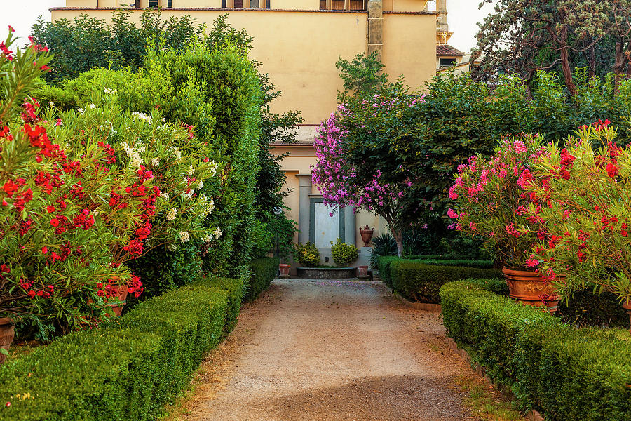 Garden in Tuscany Photograph by Andrew Soundarajan