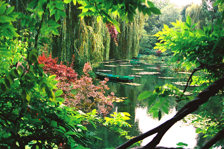 Paris Photograph - Monets Garden by Claude Taylor