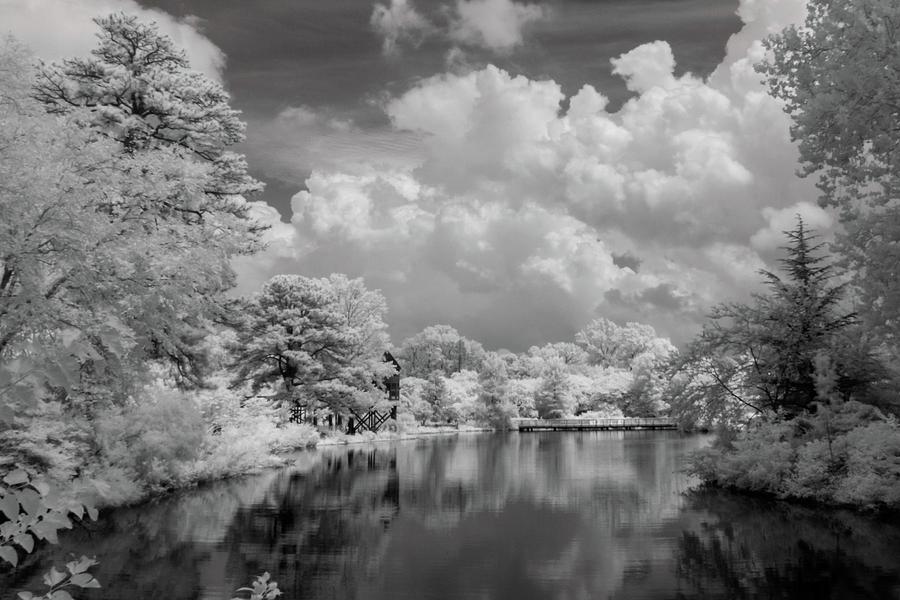 Garden Lake in Infrared Photograph by Liza Eckardt