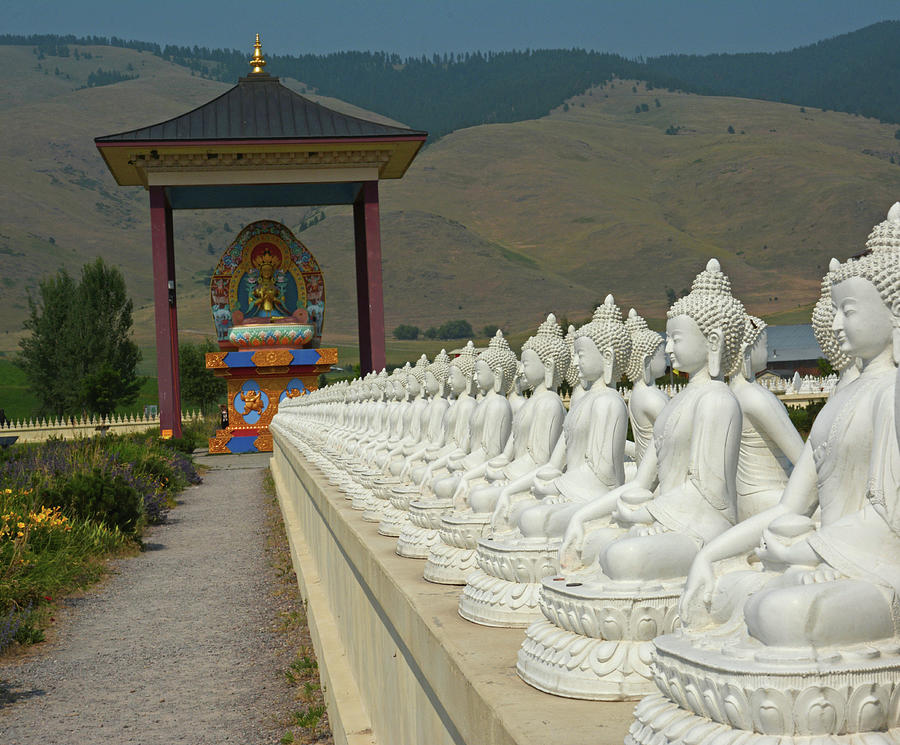 Garden of 1000 Buddhas Photograph by Whispering Peaks Photography ...