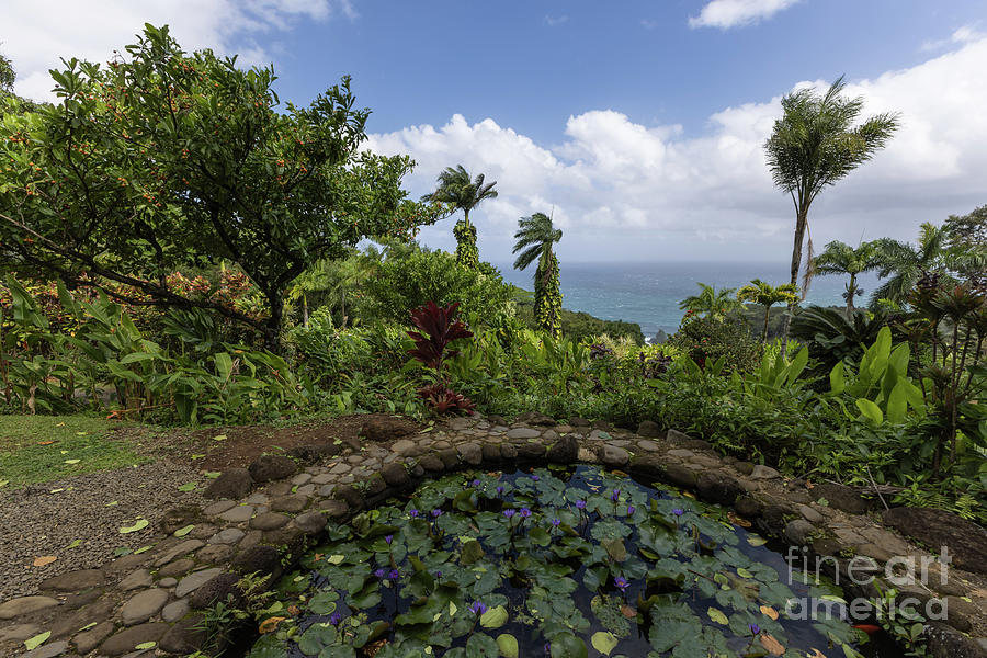 Garden of Eden Maui Photograph by Eva Lechner