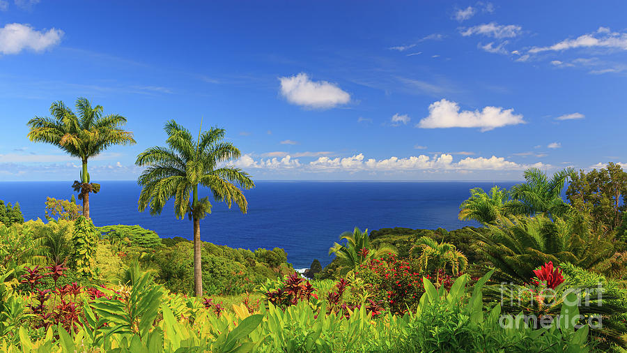 Garden of Eden, Maui, Hawaii Photograph by Henk Meijer Photography
