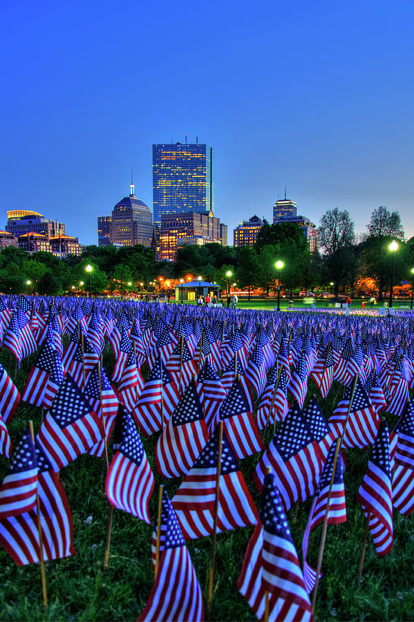 Garden Of Flags - Boston Common Photograph by Joann Vitali