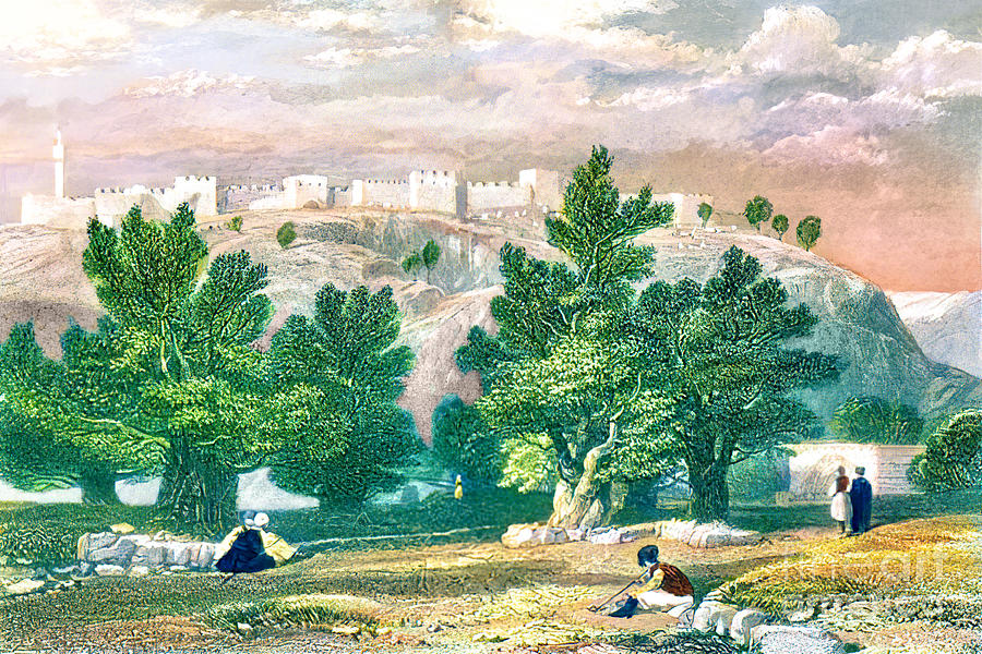 Garden of Gethsemane in 1836 Photograph by Munir Alawi
