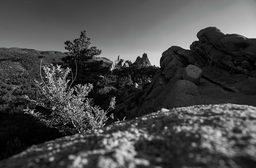 Garden Of Gods Black And White Overlook Photograph by Dan Sproul