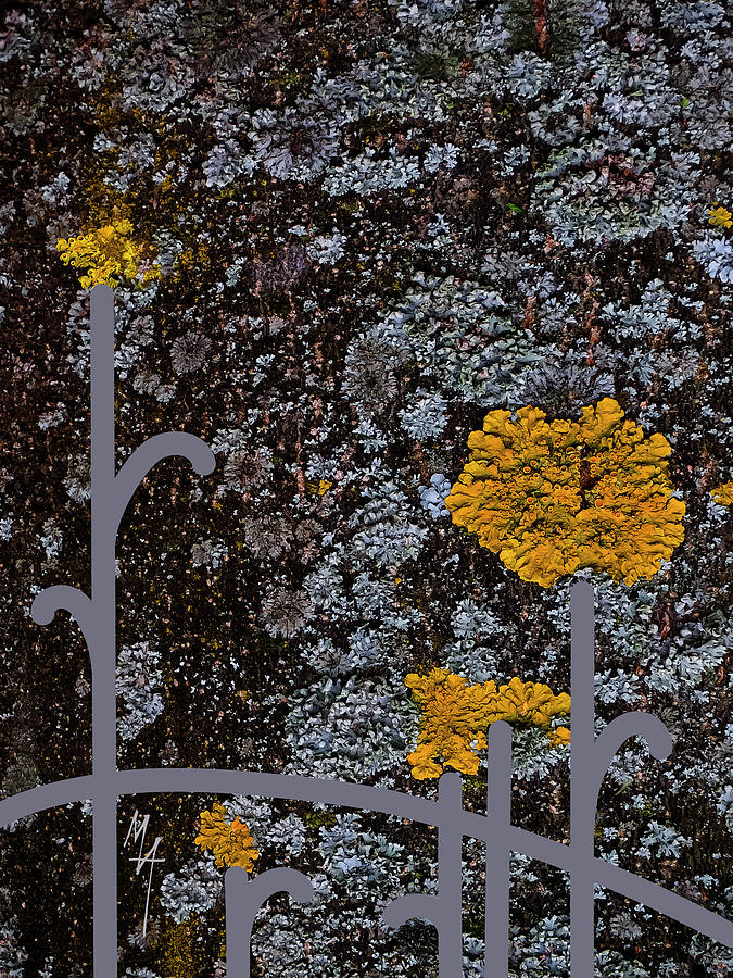 Garden of Lichens Digital Art by Attila Meszlenyi