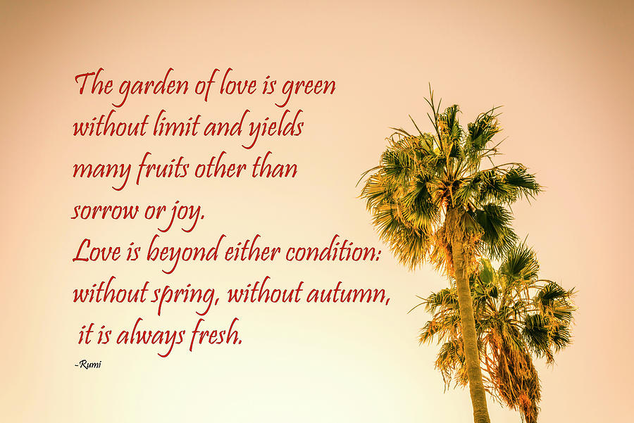 Garden Of Love, Rumi Photograph by Joseph S Giacalone