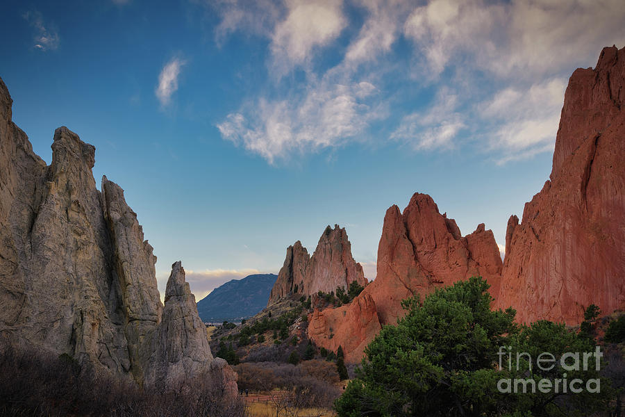 Garden of The Gods Photograph by Abigail Diane Photography