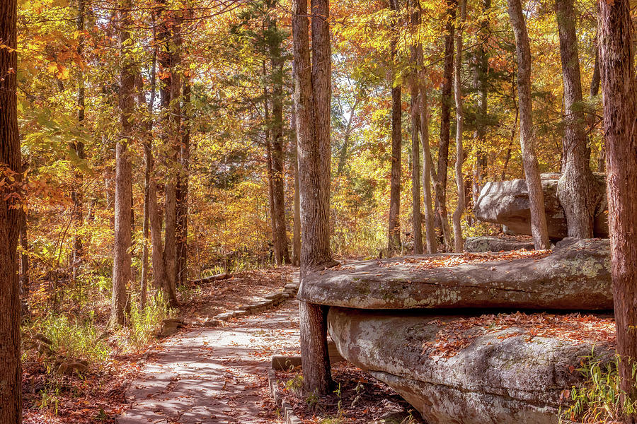 Garden of the Gods - Camel Rock Trail in Autumn Photograph by Susan Rissi Tregoning