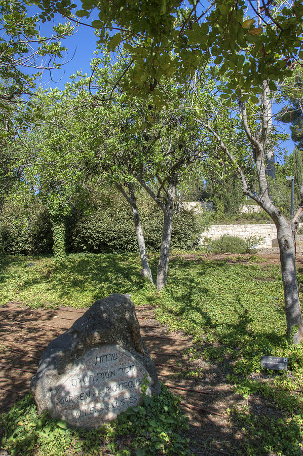 Garden of the Righteous Among the Nations (Yad Vashem, Jerusalem) Photograph by Lorenzo Bianchis photo