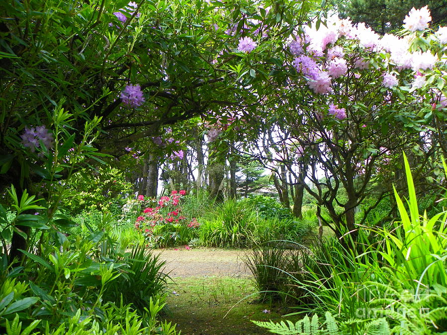 Garden Of Weeden Pacific Oregon Coast Road Trip Photograph Oregon Art 