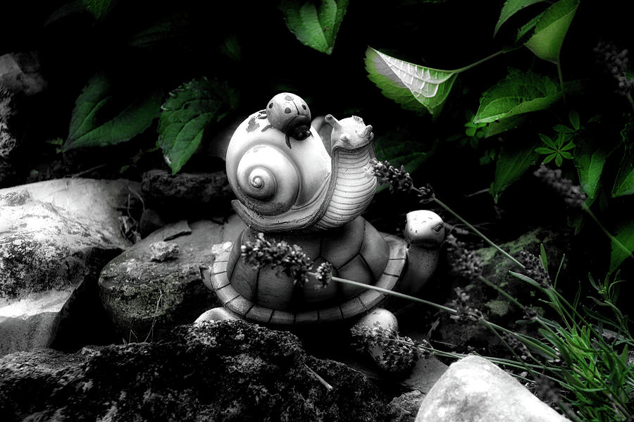 Nature Photograph - Garden Ornament Mr Turtle And His Hitchhiking Snail Friends 01 SC by Thomas Woolworth