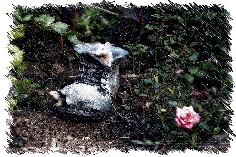 Nature Photograph - Garden Ornament Old Shoe With Mice PA by Thomas Woolworth