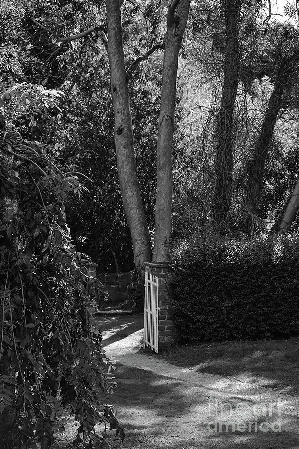 Garden Path Bw Gate Vertical Photograph by Eddie Barron