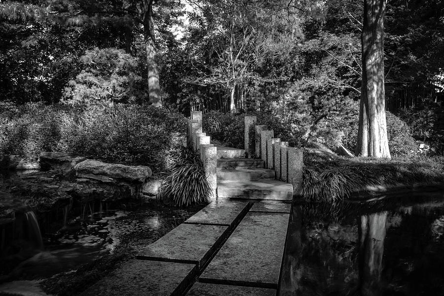 Garden Path in BW Photograph by Pam Rendall