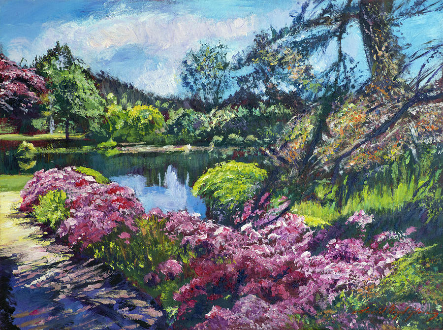  Garden Path Of Spring Azaleas Painting by David Lloyd Glover