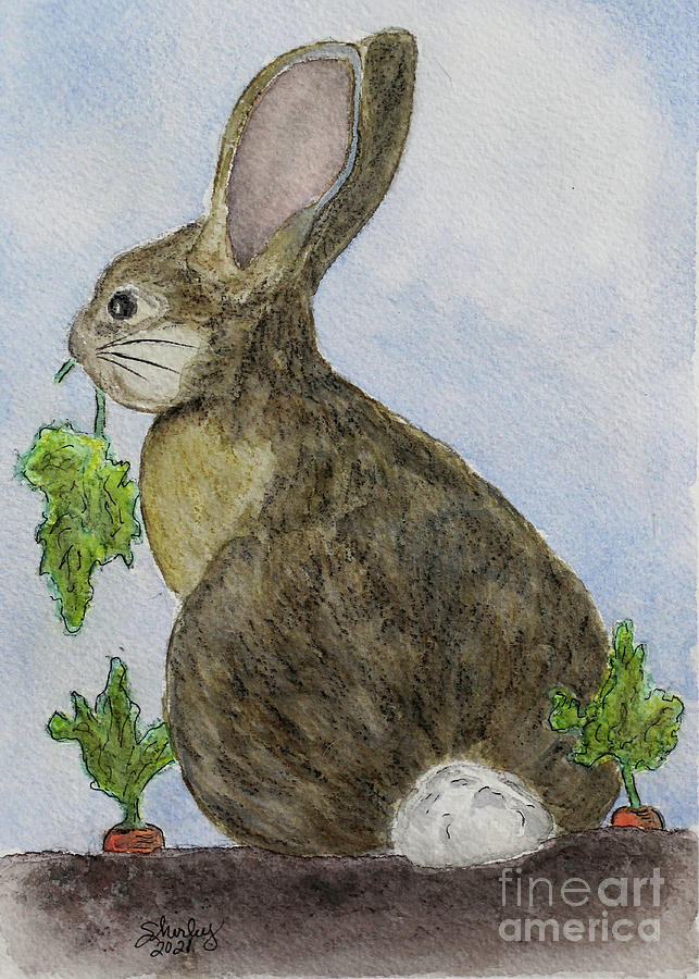 Garden Rabbit  Painting by Shirley Dutchkowski
