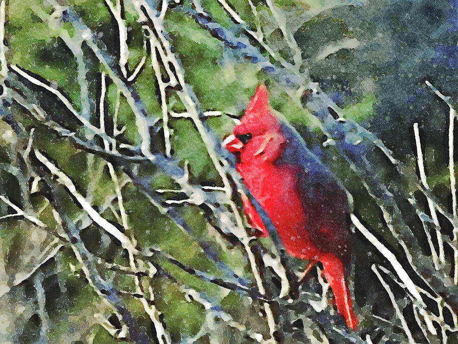 Garden Redbird with Branches  Digital Art by Shelli Fitzpatrick