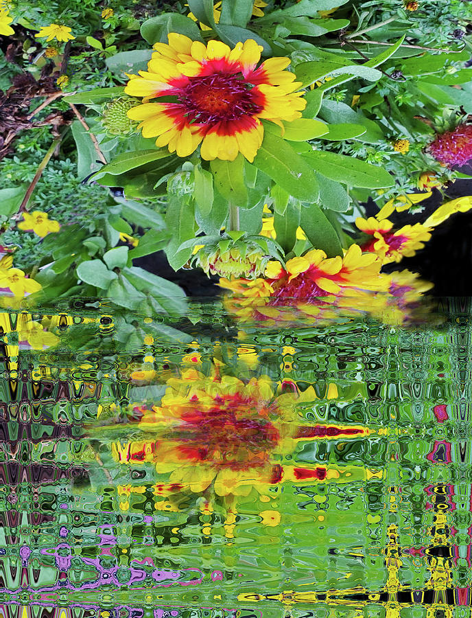 Garden Reflections Mixed Media by Sharon Williams Eng