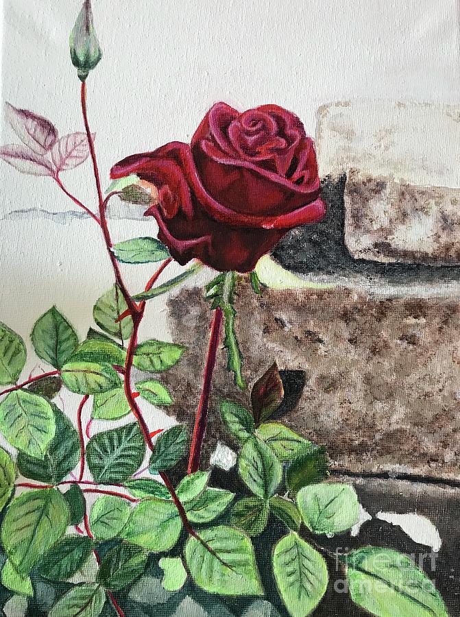 Garden Rose Painting by Linda Gustafson-Newlin