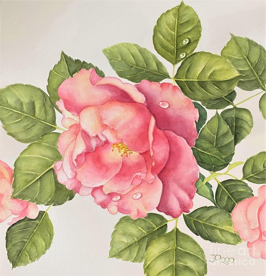 Garden rose with water drops Painting by Inese Poga