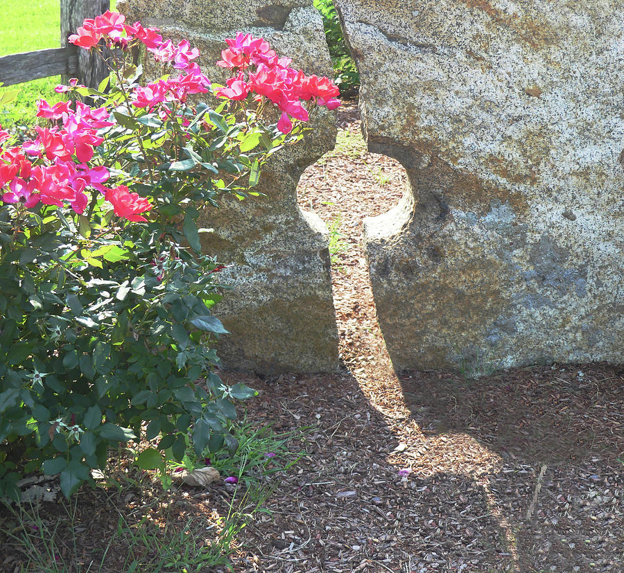 Garden Sculpture Beam Photograph by Sharon Williams Eng