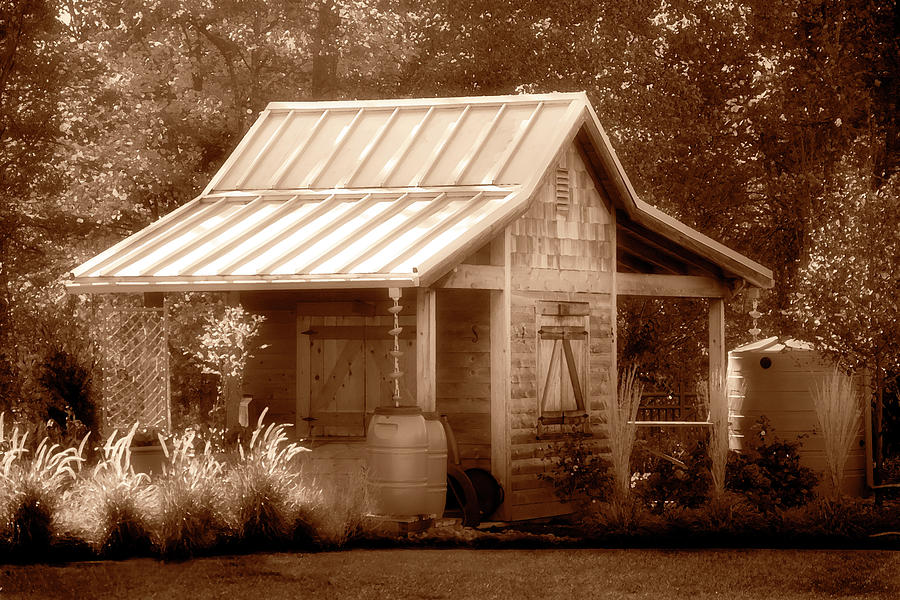 Garden Shed in Sepia Painting by Anthony M Davis