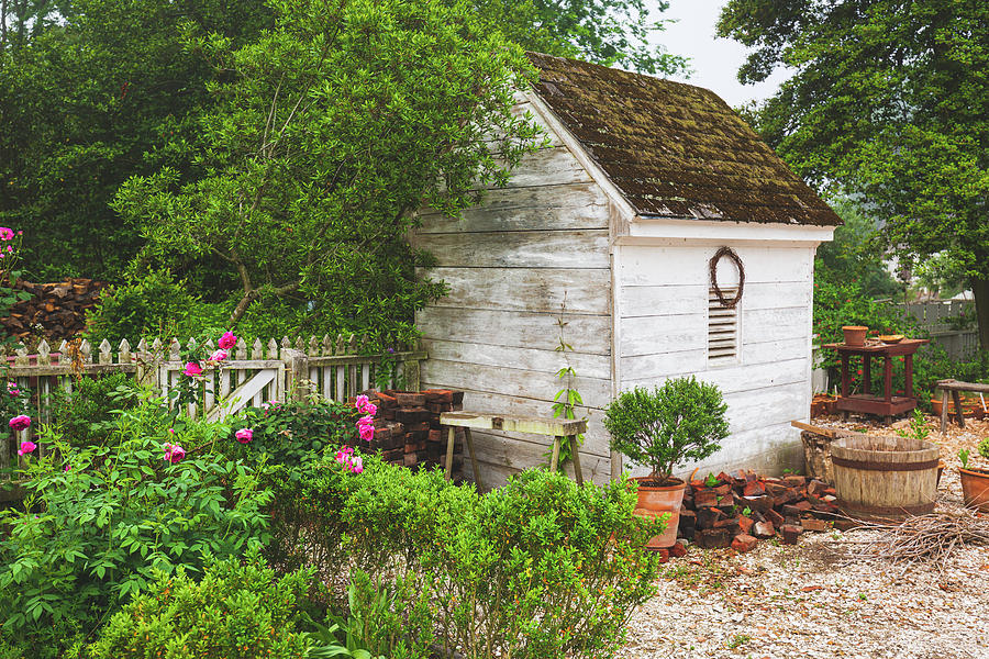 Garden Shed With Roses Photograph
