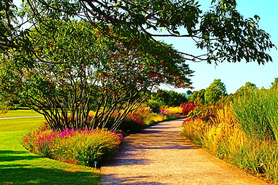 Garden Splendor Photograph