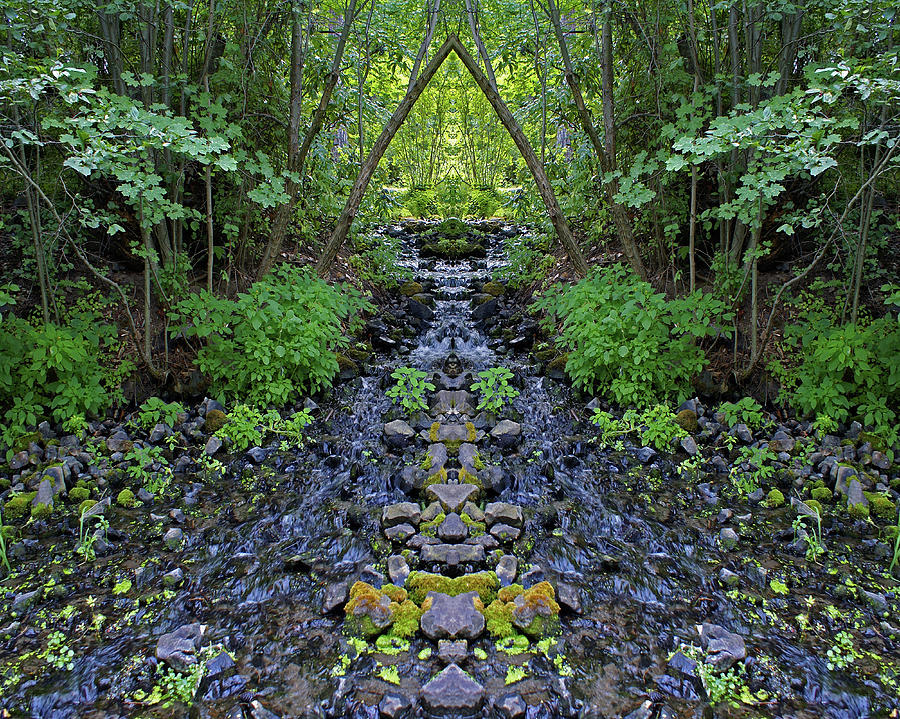 Garden Springs Creek Mirror #1 8x10 Format Photograph by Ben Upham III