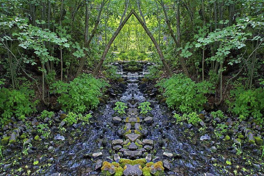 Garden Springs Creek Mirror #1 Photograph by Ben Upham III