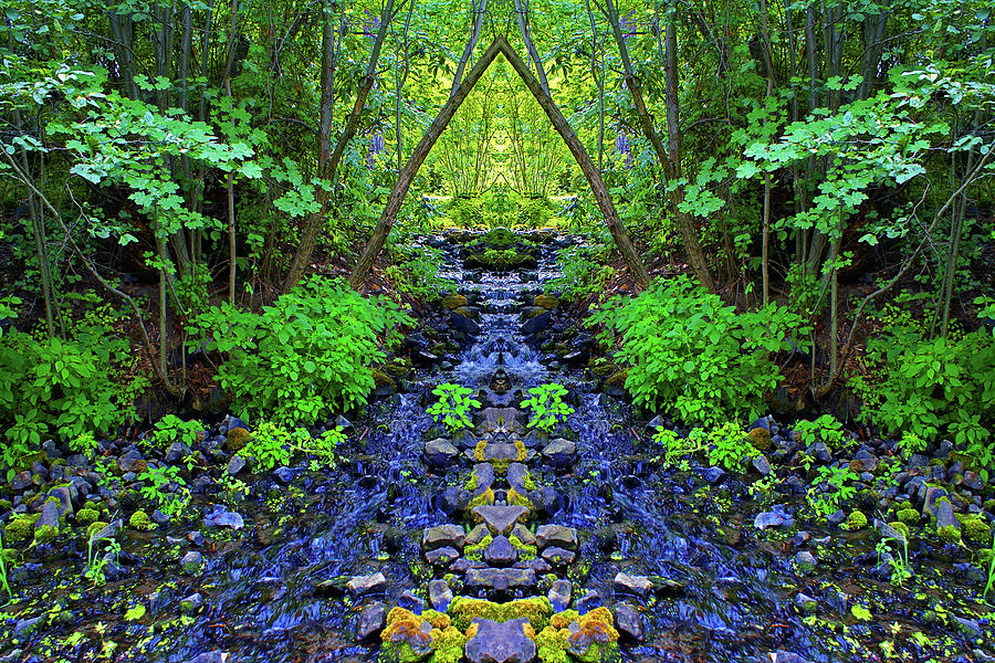 Garden Springs Creek Mirror #1 with Saturated Colors Photograph by Ben Upham III