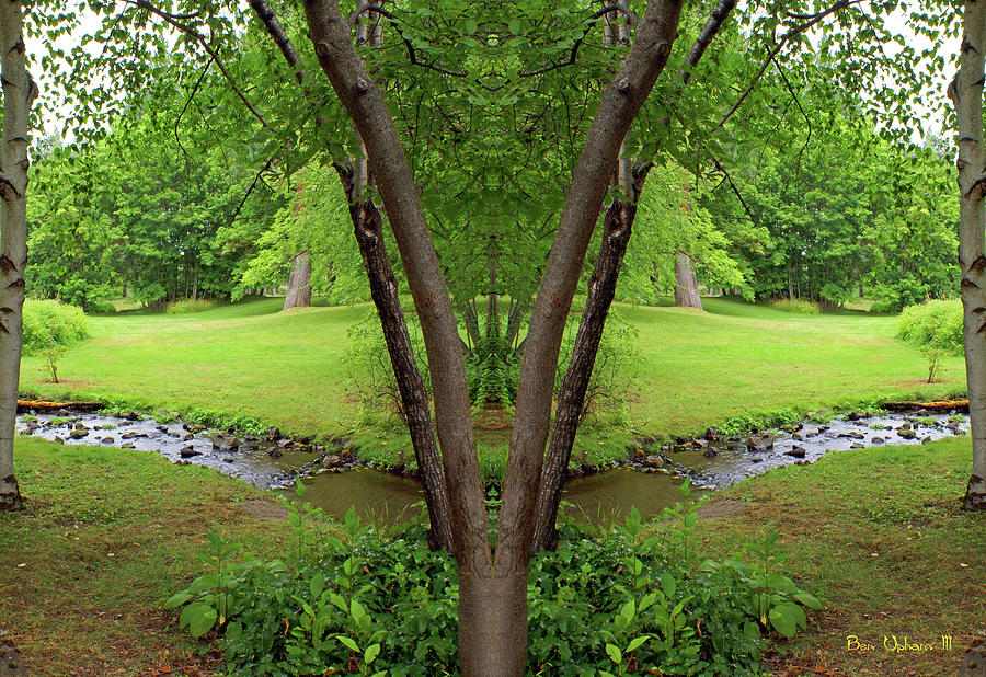 Garden Springs Creek Nature Mirror #2 Photograph by Ben Upham III