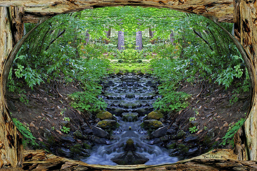 Garden Springs Creek Peace in a Redwood Bark Frame with Overflow 4x6 format Sphereized Photograph by Ben Upham III