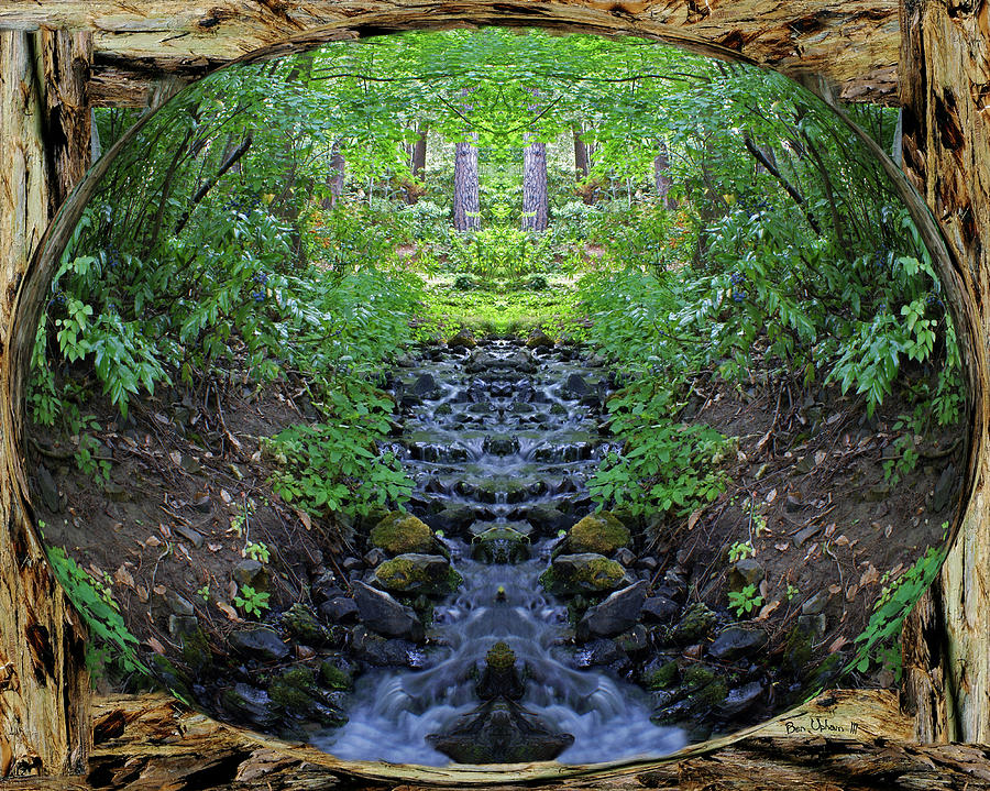 Garden Springs Creek Peace in a Redwood Bark Frame with Overflow 8x10 format Sphereized Photograph by Ben Upham III