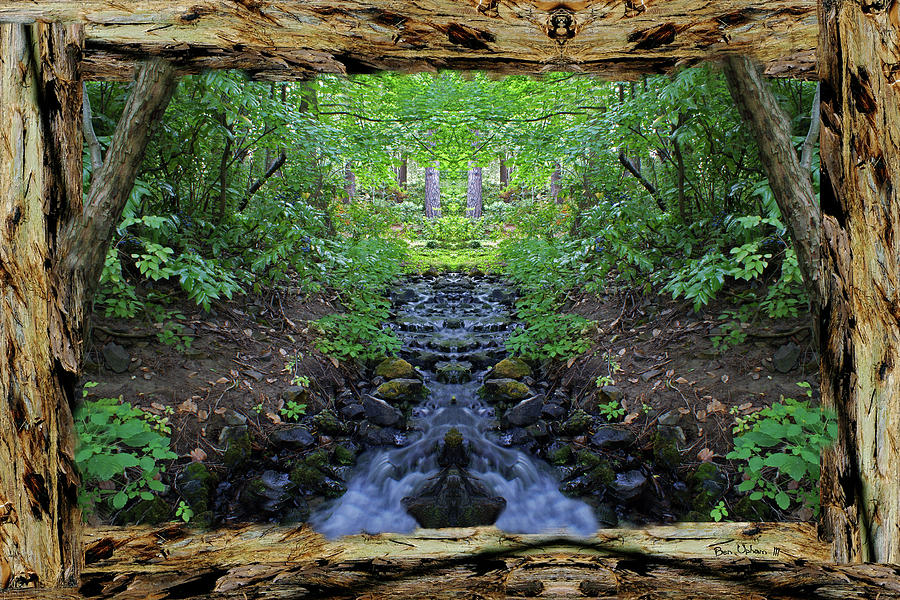Garden Springs Creek Peace in a Redwood Bark Frame with Overflow Photograph by Ben Upham III