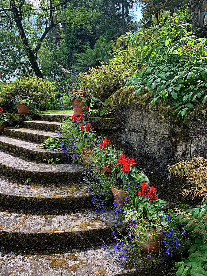 Garden Steps Photograph by Jill Love