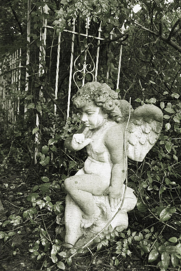 Garden Still Life Concrete Angel Photograph by Toni Hopper