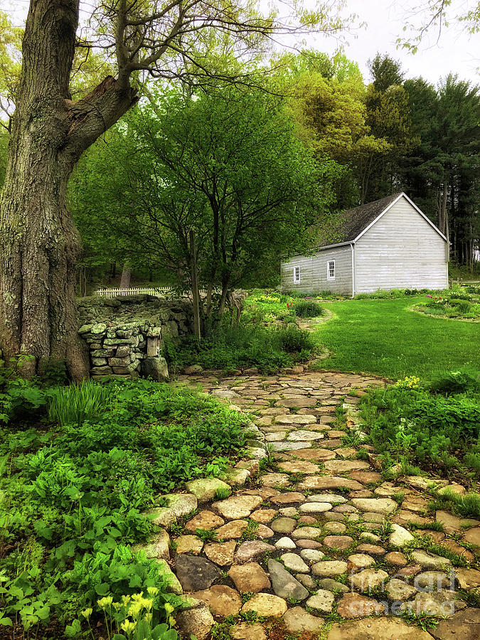 Garden Stone Path Photograph by Mark Miller