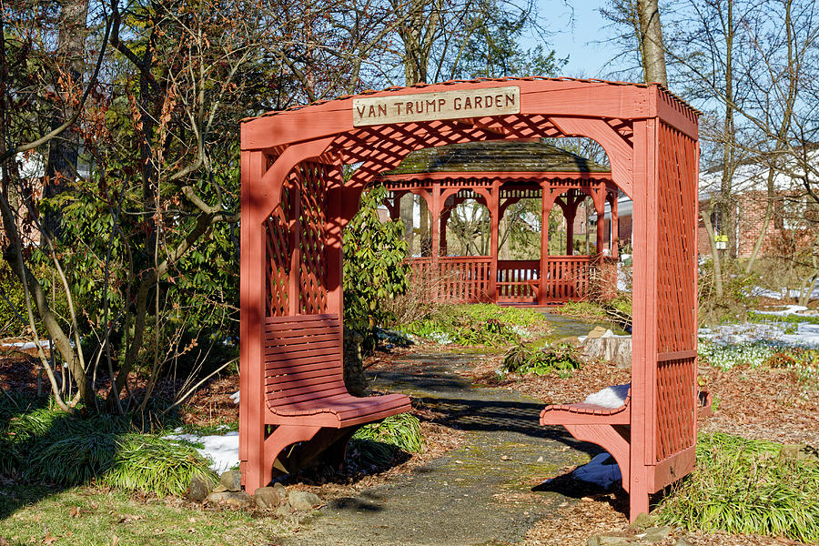 Garden Structures Photograph by Sally Weigand