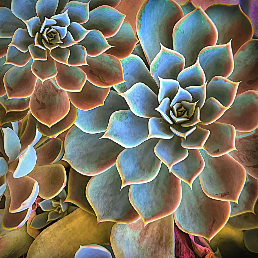 Garden Succulent Botanicals II Painting Photograph by Debra and Dave Vanderlaan