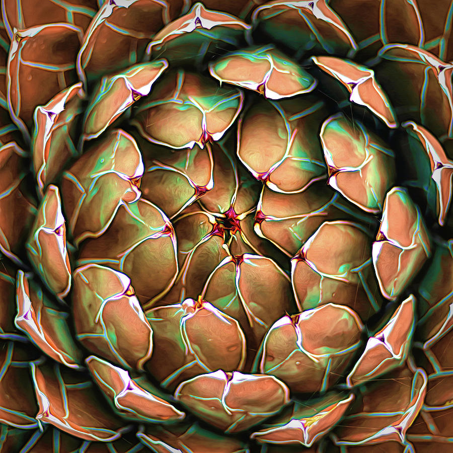 Garden Succulent Botanicals III Painting Photograph by Debra and Dave Vanderlaan