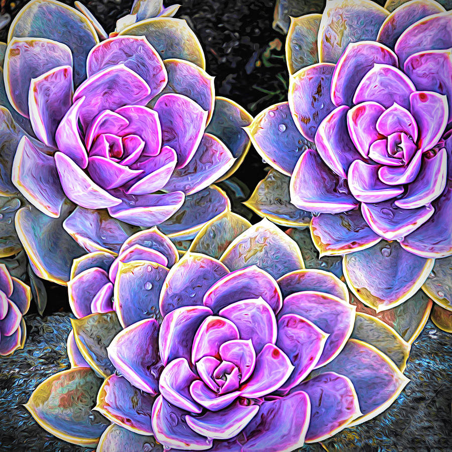 Garden Succulent Botanicals IV Painting Photograph by Debra and Dave Vanderlaan