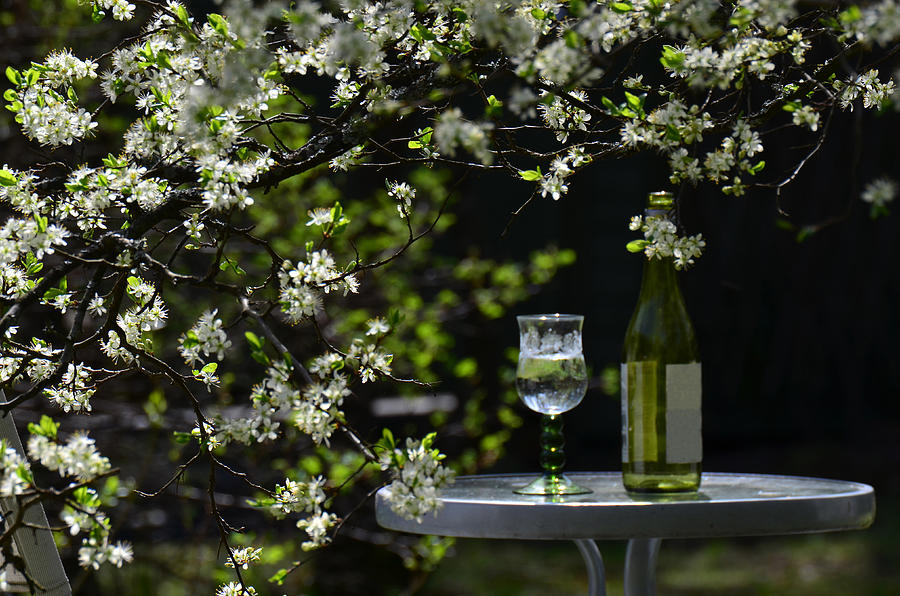Garden table Photograph by Sitikka