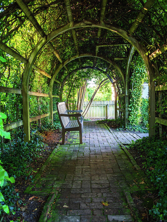 Garden Trellis and Bench in Spring Photograph by Rachel Morrison Garden Trellis and Bench in Spring Photograph by Rachel Morrison